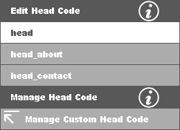 edit manage head code