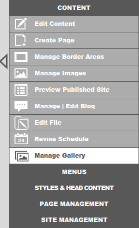manage gallery button under content