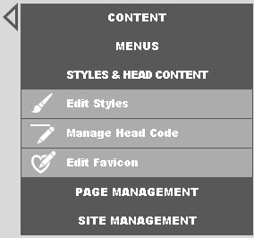 styles and head content menu