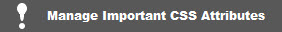 Manage Important CSS Attributes Button