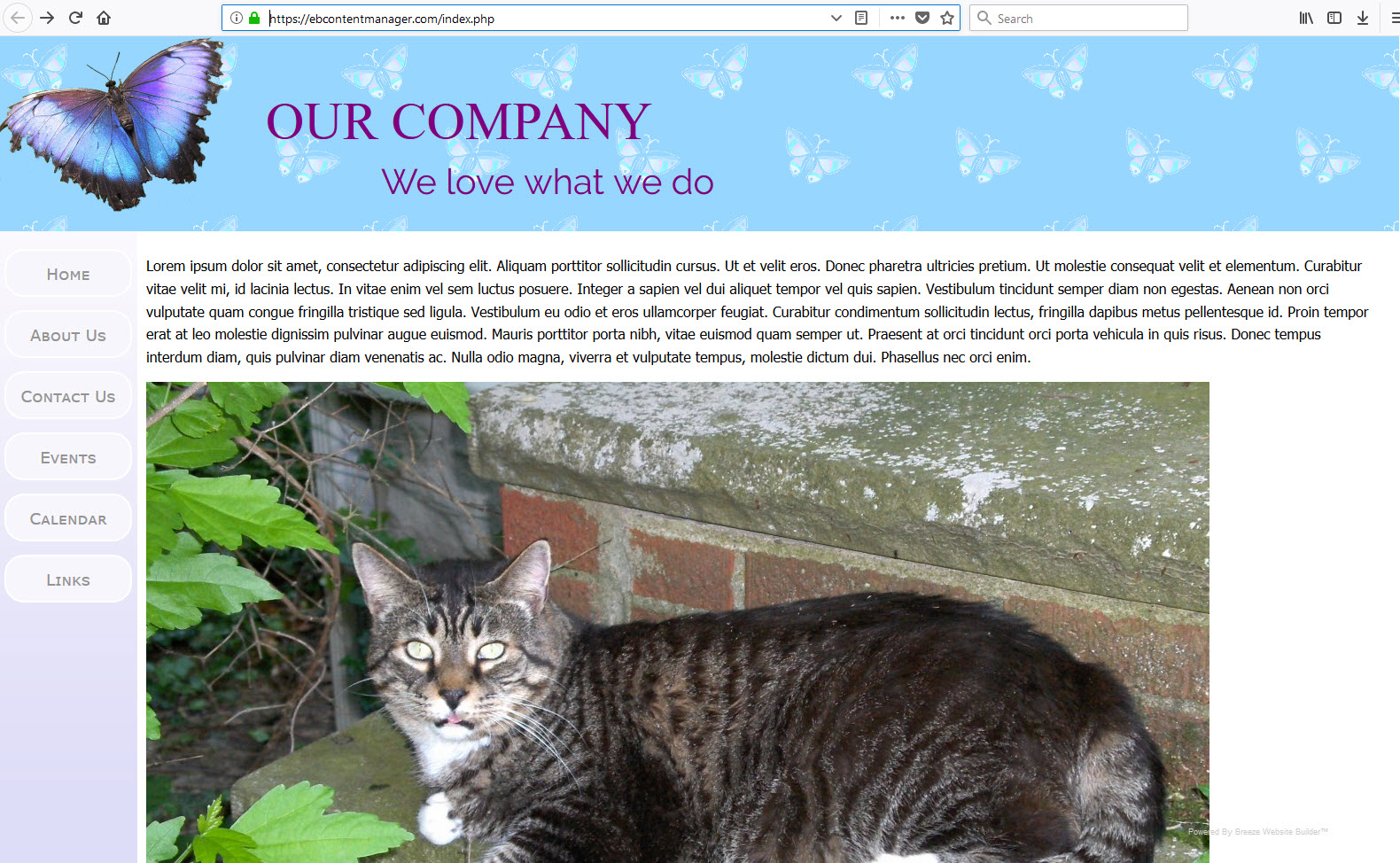 desktop responsive 1600px res