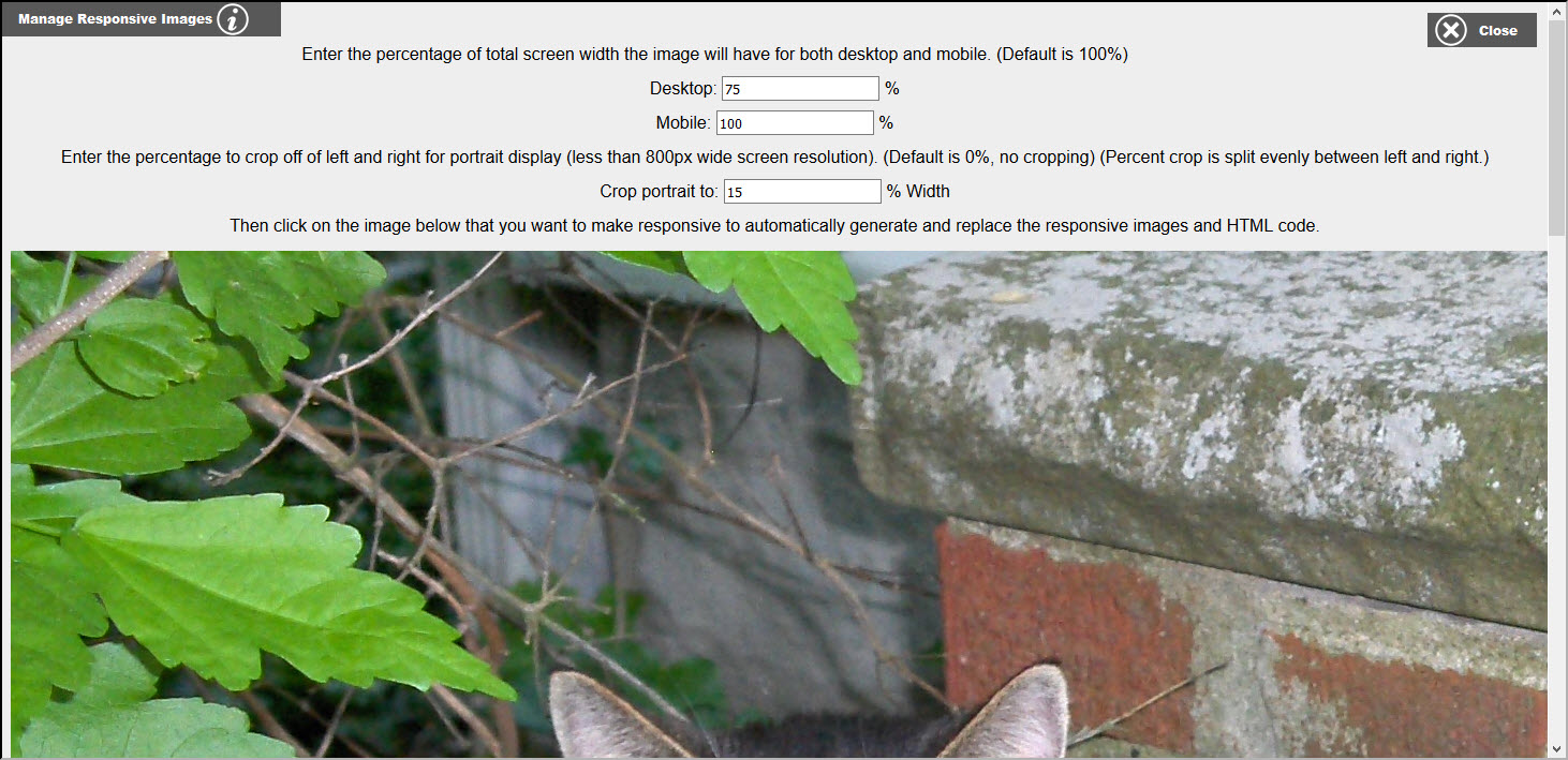 manage responsive images console